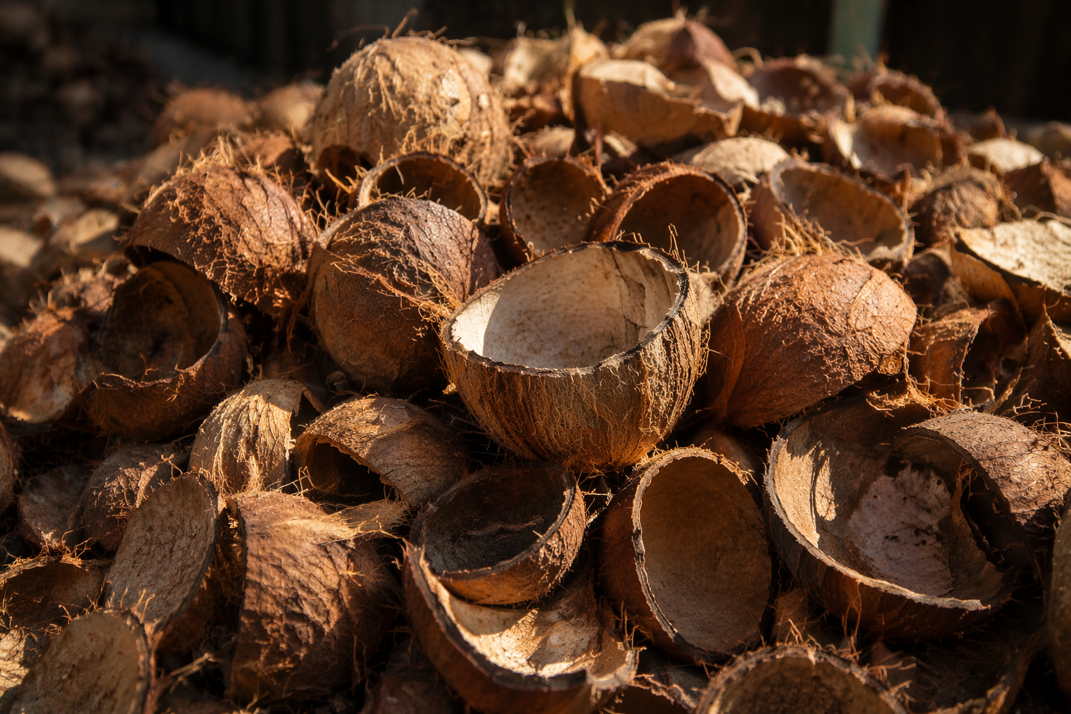 Sustainable Coconut Shell